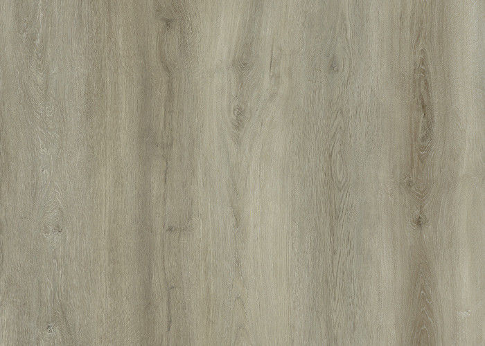 Gỗ sồi PVC trang trí màng in chuyển mực 0,07mm 1000x1580mm